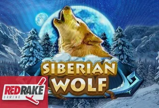 Siberian Wolf